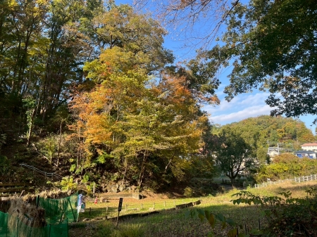 八王子館町緑地保全地域