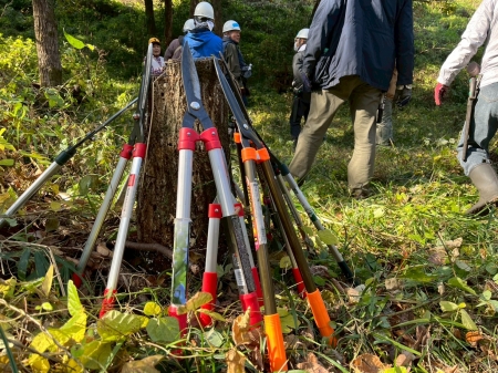 刃を上にして立てかけた刈り込みハサミ