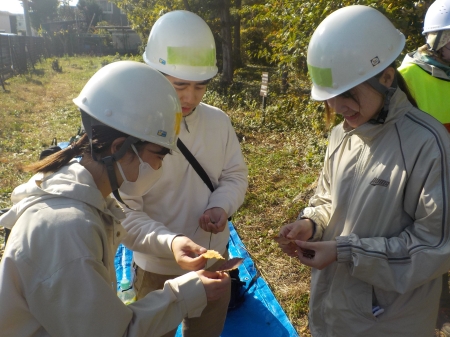 葉っぱの特徴を比べている様子