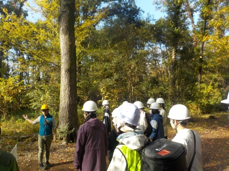 保全地域内の散策