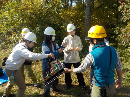色鉛筆を選んでいる