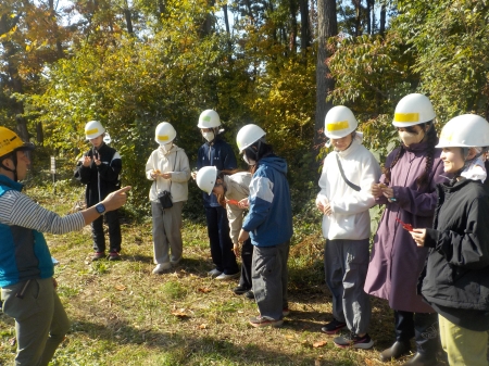 色鉛筆と同じ色の落葉を探して見比べている様子