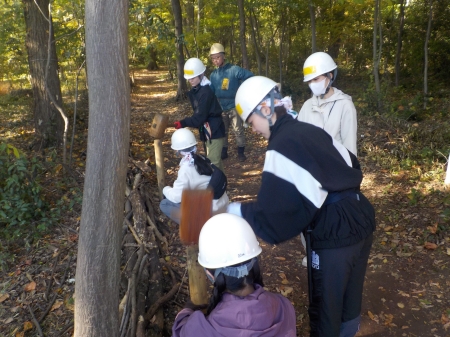 声を掛け合いながら杭打ちをする様子