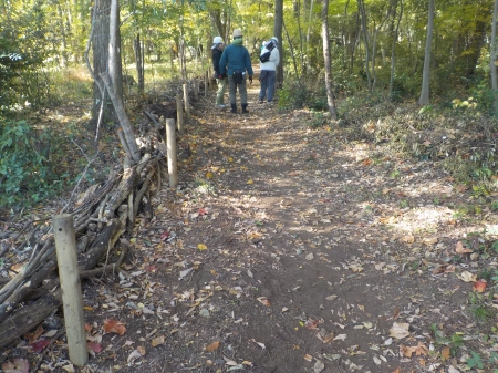 園路沿いに打たれた杭