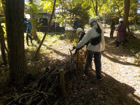 協力して枝を集めていく様子