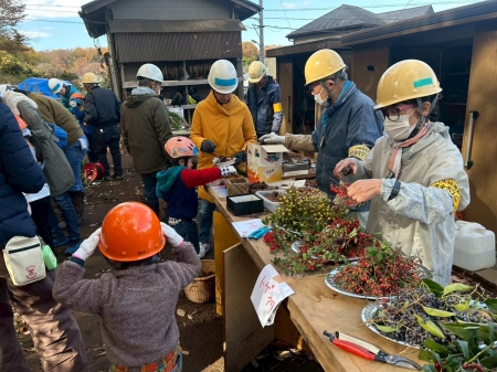クリスマスリース作りの材料選び
