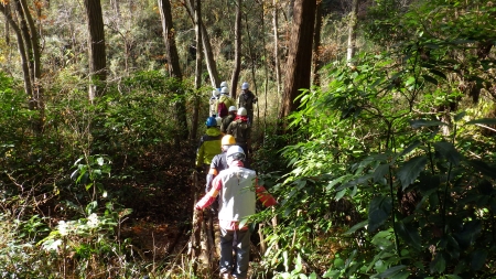 自然観察へ出発