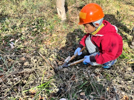 下草刈りをおこなう子ども