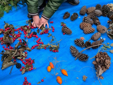 リースのパーツとなるたくさんの木の実や葉っぱ