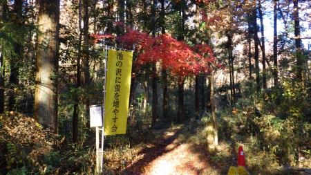 池の沢にホタルを増やす会