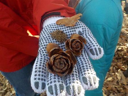 薔薇の形をした松ぼっくり