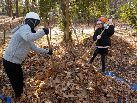 落ち葉を熊手で集める様子