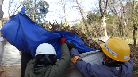落ち葉を頭上に挙げてトン袋に詰め込む様子