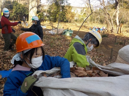 トン袋の中の落葉を手で詰め込む参加者