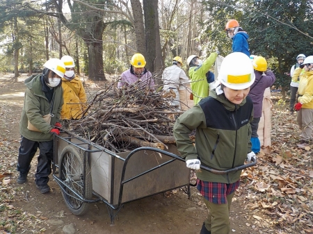 協力してリヤカーを運ぶ様子