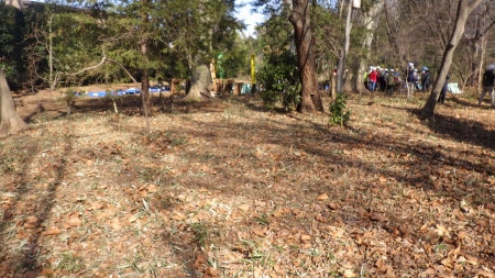 きれいに整備された保全地域