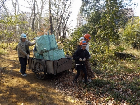 笹をリヤカーで運ぶ様子