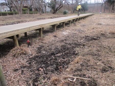 湿地整備場所の様子