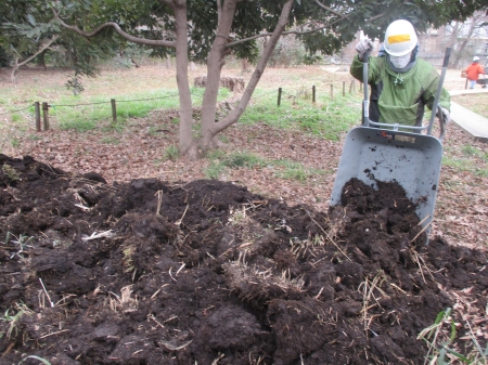 掘り起こした土を運ぶ姿