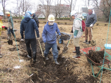 掘った水路を踏み鳴らして固める様子