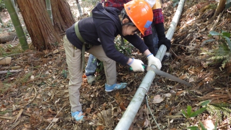 玉切りをする様子