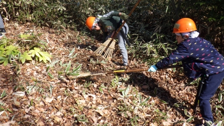 熊手を使って落葉かきをするこどもたち