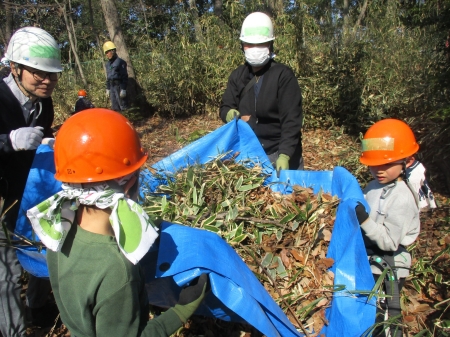 ブルーシートを使って落葉を運ぶ様子
