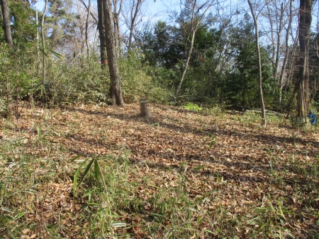 日当たりが良くなった様子