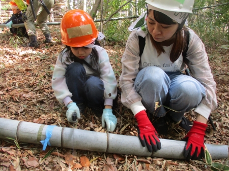竹の枝落としや玉切りを行う親子
