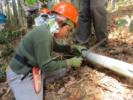 竹を必要長さに切りだす少年