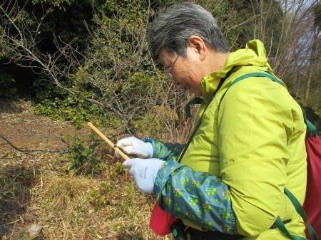竹を細工する参加者