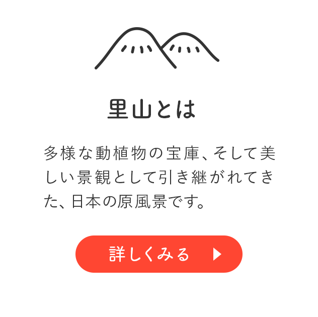 里山とは：多様な動植物の宝庫、そして美しい景観として引き継がれてきた、日本の原風景です。