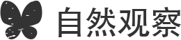 自然观察 标题