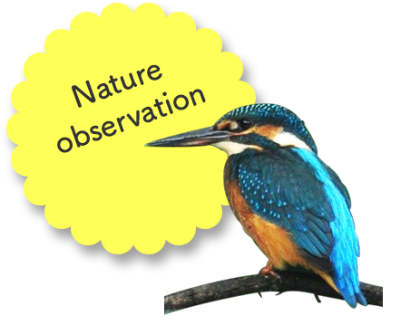 Nature observation