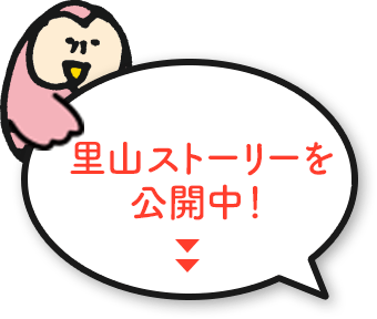 4つの里山ストーリーを公開中！