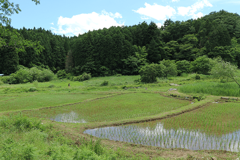 丘陵地の画像