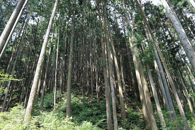 山地の画像