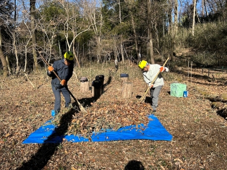 林床整備(落葉搔き)