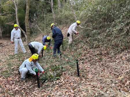 希少種保全(選択的草刈り)