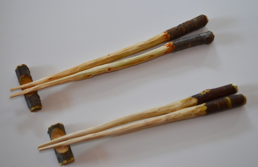 木の枝からお箸を作ろう | 東京の自然にタッチ 里山へGO！